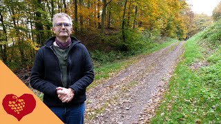 Herbstwanderung an der Mosel  quotPiesporter Bergquot [upl. by Napas]