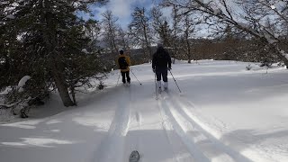 Øyfjell feb 2022  Fjellski  Telemark backcountry skiing [upl. by Ardaid]