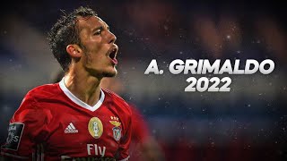 Alejandro Grimaldo  Technical Wingback  2022ᴴᴰ [upl. by Zielsdorf]