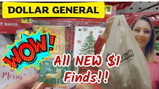 Unbelievable Dollar General Haul 1 Finds You Wont Believe [upl. by Novar]