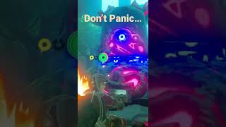 Tips for Trials of The Sword Breath of The Wild Don’t Panic shorts botw [upl. by Bozuwa859]