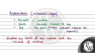 Hammerling s experiments of Acetabularia involved exchanging [upl. by Dettmer514]