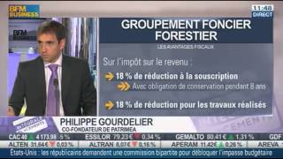 Groupement Foncier Forestier GFF  Patrimea sur BFM [upl. by Tunk29]