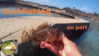 ROCKFISHING en port dans le Var Pêche des gros gobies et rascasses [upl. by Innad147]