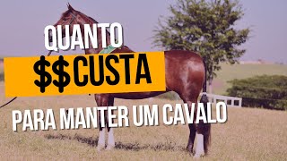 Quanto custa manter um cavalo [upl. by Phira585]