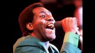 Otis Redding live  various  Monterey Pop 1967 [upl. by Deery]