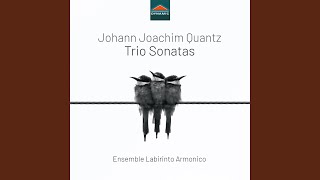 Trio Sonata in C Major QV 2Anh 3 III Larghetto [upl. by Jeni830]