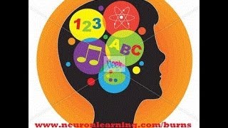 Neurobiology of Autism Interventions that Work  webinar [upl. by Power611]