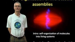 Tim Mitchison Harvard Part 1 Selforganization of microtubule assemblies [upl. by Niar]