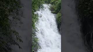 Beautiful waterfall near Canacona bambegat nature relaxing waterfall travel shortvideo [upl. by Milena]