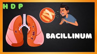 Bacillinum Homoeopathic medicine sign amp symptoms HOMOEO DRUG PICTURE homoeopathy medicalvideo [upl. by Mastat]