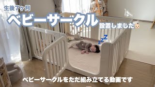 【生後7ヶ月】ベビーサークル設置しました👶🏻ベビーサークル組み立て動画 [upl. by Nelleoj]