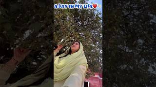 A Day In my Life✨♥️Exploring Sundernagar youtubeshorts minivlog trendingshorts adayinmylife [upl. by Earehs]