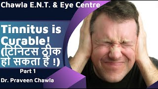 Tinnitus is Curable  टिनिटस ठीक हो सकता हैं  Dr Praveen Chawla  Part  1 [upl. by Aicilet]