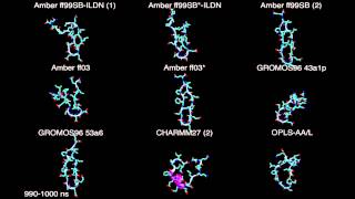 Force field comparison Amber GROMOS CHARMM OPLS [upl. by Abijah]