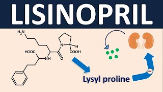 Lisinopril as antihypertensive [upl. by Llorrad967]