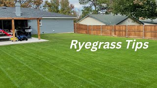 Ryegrass Winter Overseeding in Texas  Things I Consider Before I Begin [upl. by Harilda]