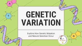 Genetic Variation science biology learning body school cbse icse life genetics dna gene [upl. by Verla]