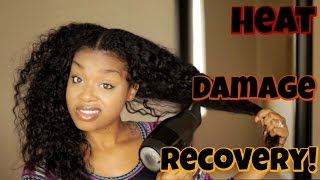 Heat Damage Recovery  5 Tips [upl. by Ledif]