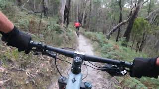 Surf Coast Mountain Bike Club social ride  Anglesea Bike Park to Currawong Falls [upl. by Eelarat]