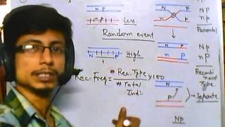 Linkage mapping introduction [upl. by Korrie]