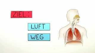 Atmung Der Weg durch den Körper  Biologie  Humanbiologie [upl. by Berkow]