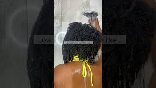 IT TAKES 4 BUSINESS DAYS TO GET WET type4hair lowporosity washdayroutine [upl. by Stephan]