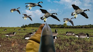 26 BANDED HONKERS ON OPENING DAY INSANE GOOSE HUNT [upl. by Nashoma]