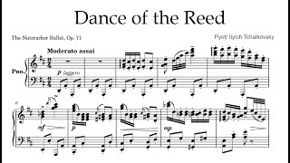 Dance of the Reeds Piano sheet  Pyotr Ilyich Tchaikovsky [upl. by Kasevich756]