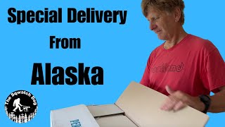 Alaska AdVANture Special Delivery From Alaska [upl. by Yblocaj]