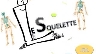 Le SQUELETTE Humainالهيكل العظمي البشري [upl. by Debora]