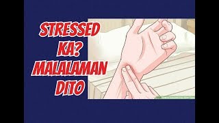 Stressed Ka Malalaman Dito  Payo ni Doc Willie Ong 748 [upl. by Wilson]