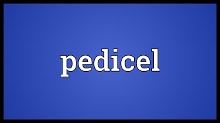 Pedicel Meaning [upl. by Negah]