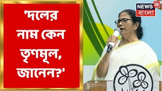 Mamata Banerjee দলের নাম কেন Trinamool Congress কর্মীদের কী বললেন মমতা  Bangla News [upl. by Adhamh751]