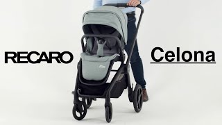 Recaro Celona Pushchair  Celona Demo  New 2021 Compact Fold [upl. by Halvaard]