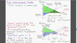 Microeconomics  96 Import Quota [upl. by Imis152]