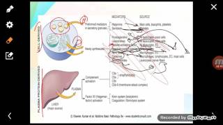 Inflammation part3 chemial mediators [upl. by Ymaral]