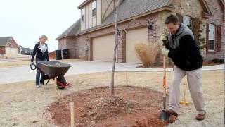 Pavestone Retaining Wall Installation [upl. by Rochelle]