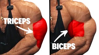 Perfect Biceps And Triceps Workout To Build Bigger Arms [upl. by Wolsky]