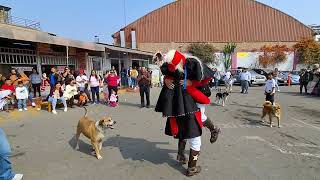 CHINCHILPOS Y GAMONALES HONO A EL SEÑOR DE HUANCA MAYD SR ROBERTO ORTEGA C SAN LUIS YERBATEROS [upl. by Critta]