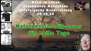 Mond im Löwen  Melonensalat süßsauer  Rezept für hitzige Tage [upl. by Ahsiaa]