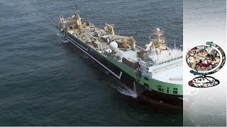 How Australia Impounded the Worlds SecondLargest Fishing Trawler [upl. by Ahsenac]