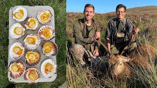 Scalloping Spearfishing and Deer Stalking in Scotland [upl. by Bearnard]