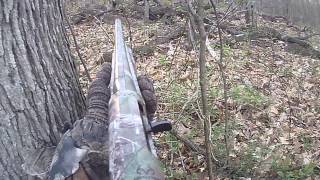 Opening Day of PA Spring Gobbler Season [upl. by Rizan]