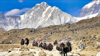 Land of the SHERPAS Walking under Mount Everest 4K Mount Everest Base Camp Trek  Full Documentary [upl. by Mell]