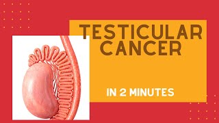 Testicular cancer in under 2 mins [upl. by Ahsekim]