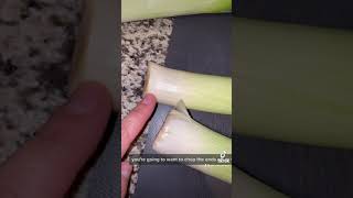 How to cook leeks [upl. by Attolrac]