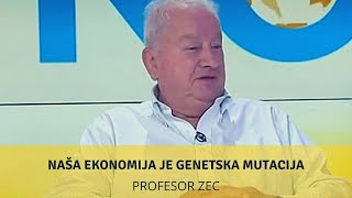 Naša ekonomija je genetska mutacija  profesor Zec [upl. by Eardnoed406]