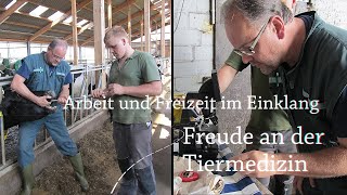 Stellenanzeige für den Großtierbereich Tierärztin  Tierarzt [upl. by Marijo]