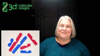 How to Model a Karyotype [upl. by Sher466]